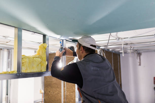 Best Eco-Friendly or Green Insulation Solutions  in Cleveland, AL