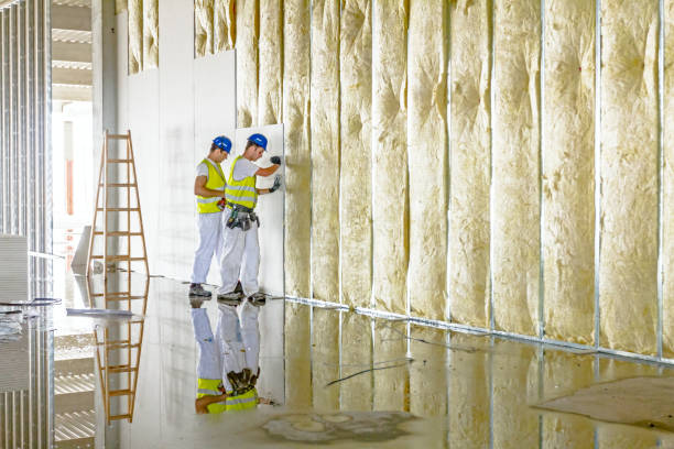 Best Basement Insulation  in Cleveland, AL